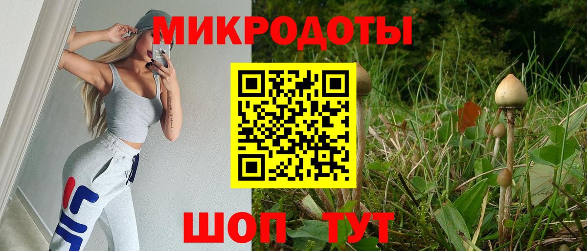 Псилоцибиновые грибы прущие грибы Павловский Посад