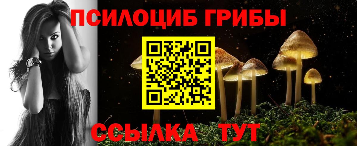 Павловский Посад  Псилоцибиновые грибы Magic Shrooms  Вход с VPN  Галлюциногенные грибы Cubensis 